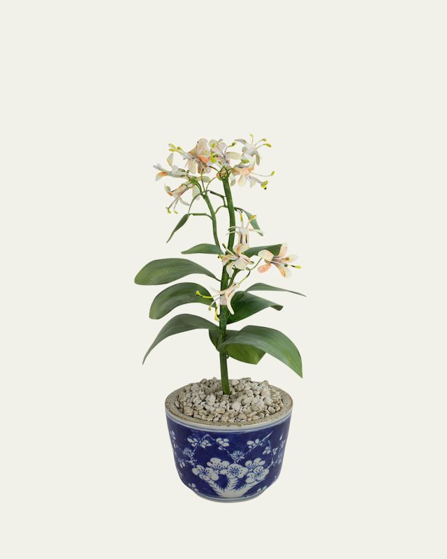 Honeysuckle June Birth Flower in Ceramic Pot
